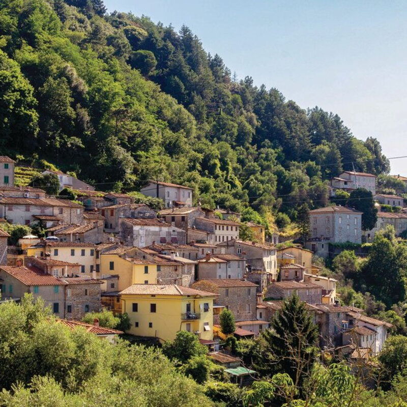 Casa Iris - Versilia, Holiday Home with Pool: Activities, Autumn, Building Exterior, Spring, Summer