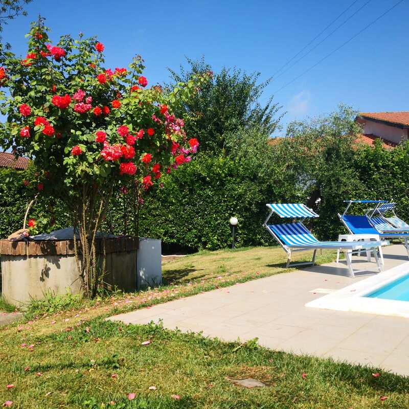 Franco House With Pool: Autumn, Building Exterior, Garden, Spring, Summer