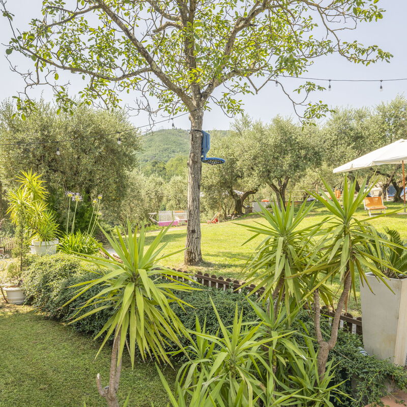 Country House Casalguidi 191 Private Pool: Autumn, Garden, Spring, Summer