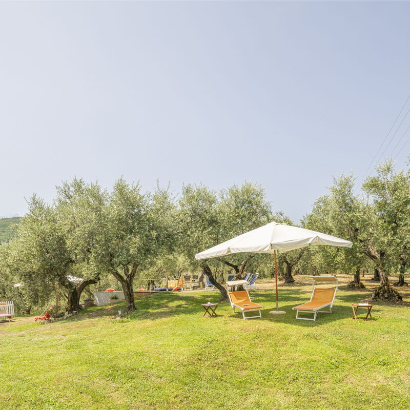 Country House Casalguidi 191 Private Pool: Autumn, Garden, Spring, Summer