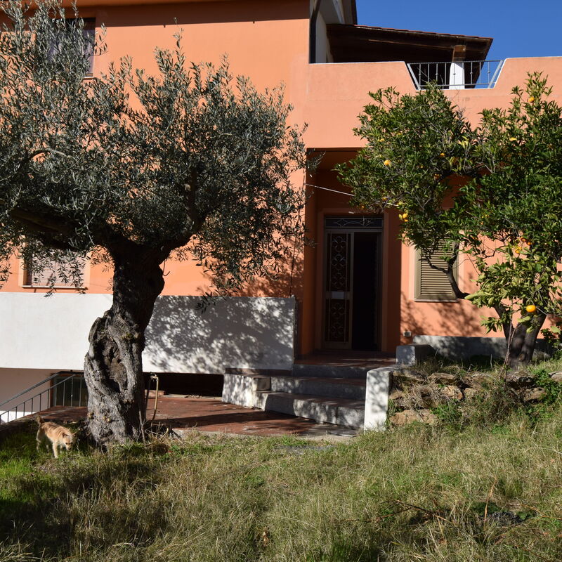 Appartamento Fabiana - Budoni, Sardegna: Activities, Autumn, Outdoor, Spring