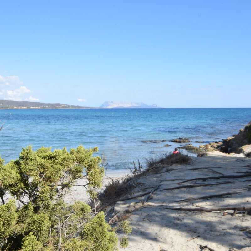 Appartamento Giovanni - Budoni, Sardegna: Activities, Autumn, Outdoor, Spring