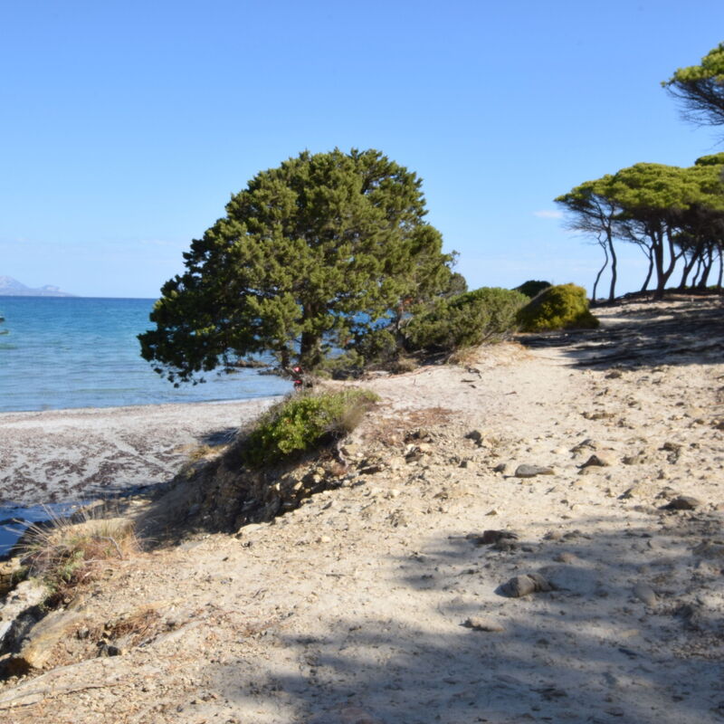 Appartamento Michela In Budoni, Sardegna Vista Mare: Activities, Autumn, Outdoor, Spring, Summer