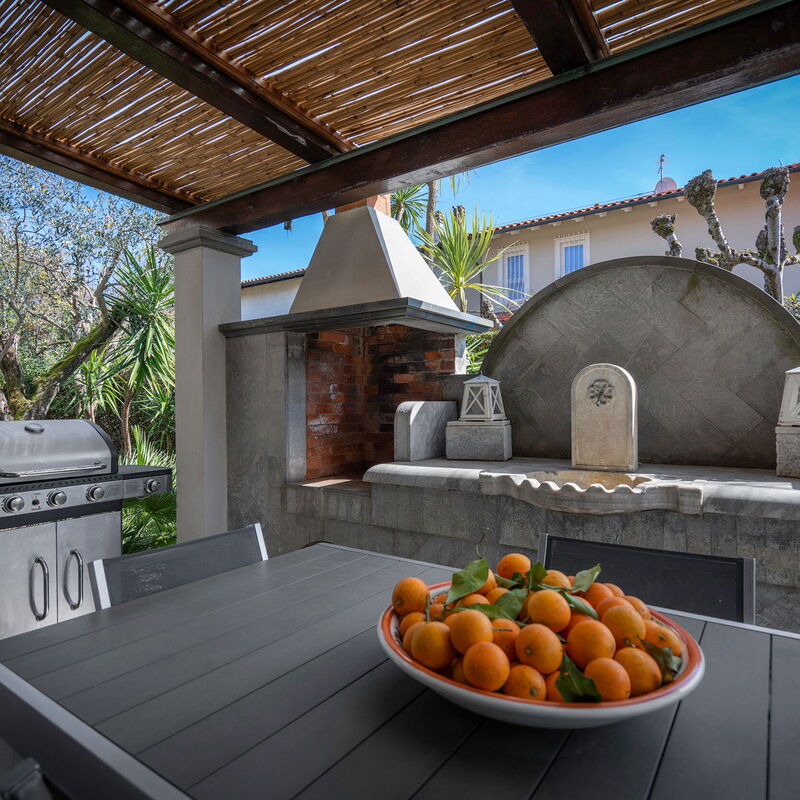 Villa Le Fontanelle In Forte Dei Marmi With Ac: Autumn, Garden, Spring, Summer