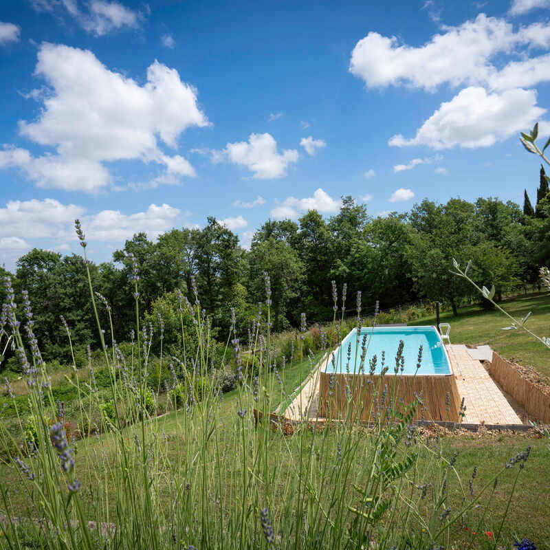 Vineyard’s Cottage With Pool, Ac, Wifi - Siena: Autumn, Garden, Spring, Summer