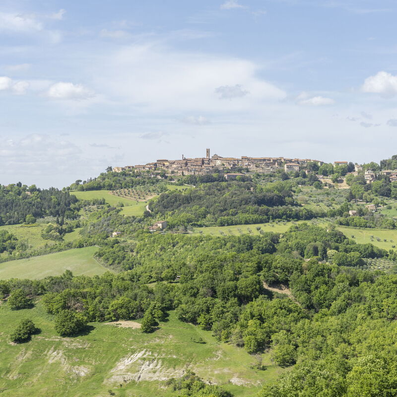Apartment Marcigliana Front Pool Wi-fi Radicondoli: Frühling, Herbst, Sommer