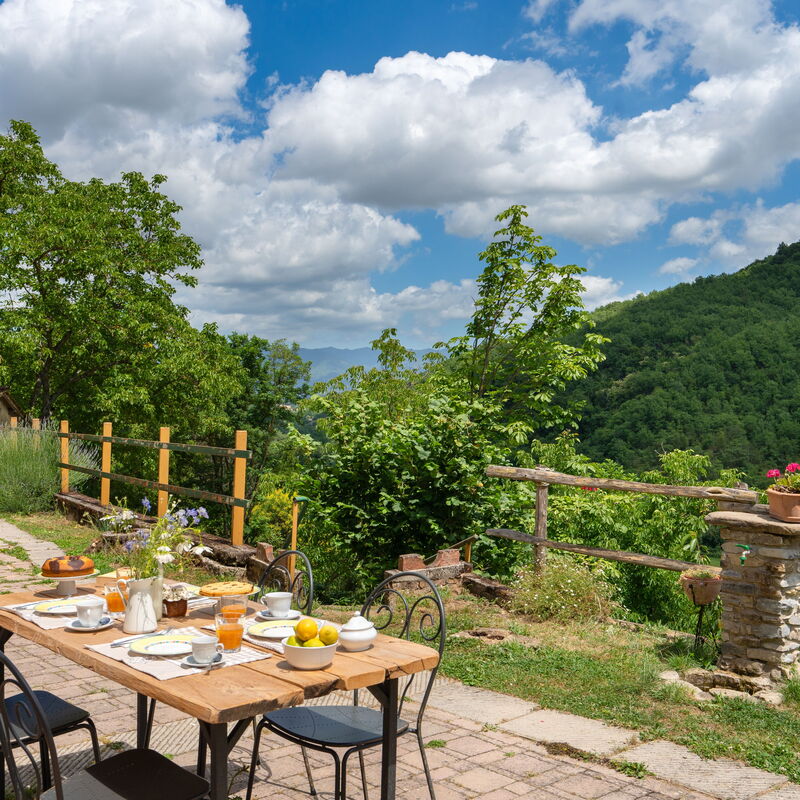 La Casa Del Tiglio: Balcony / Terrace / Patio, Building Exterior, Food, Garden, Outdoor