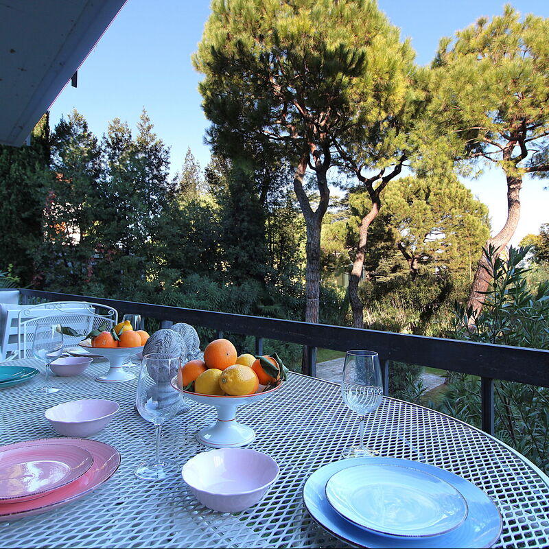Dal Molin Apartment, Garda Lake, Ac, Fitness, Jacuzzi: Autumn, Balcony / Terrace / Patio, Spring, Summer