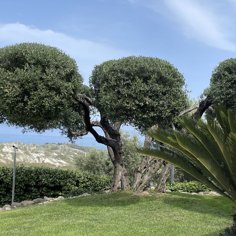 Villa Acquaro, Santa Caterina Dello Ionio, Pool, Ac: Frühling, Garten, Herbst, Sommer, Winter