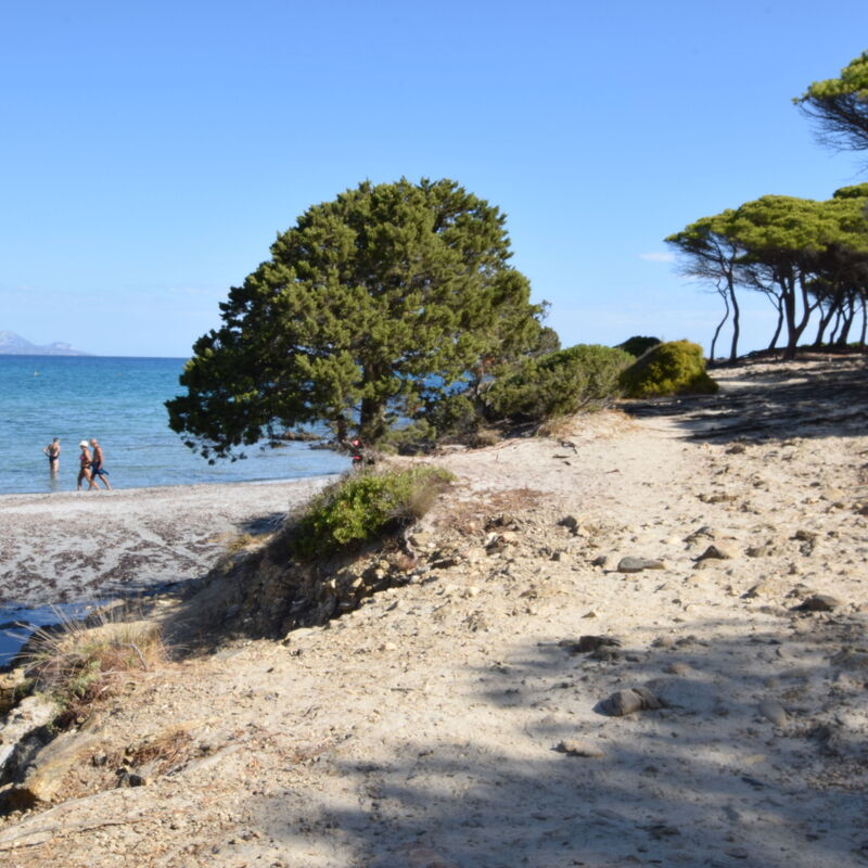 Villa Del Sole In Budoni Sea View: Autumn, Building Exterior, Spring, Summer