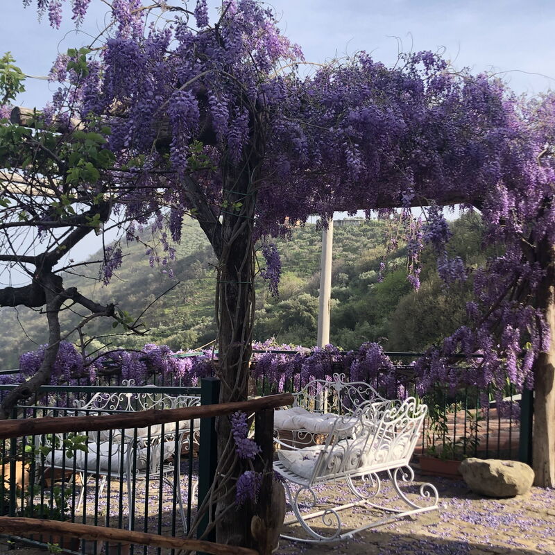 San Noto House With Pool Ac Wifi: Autumn, Garden, Spring, Summer