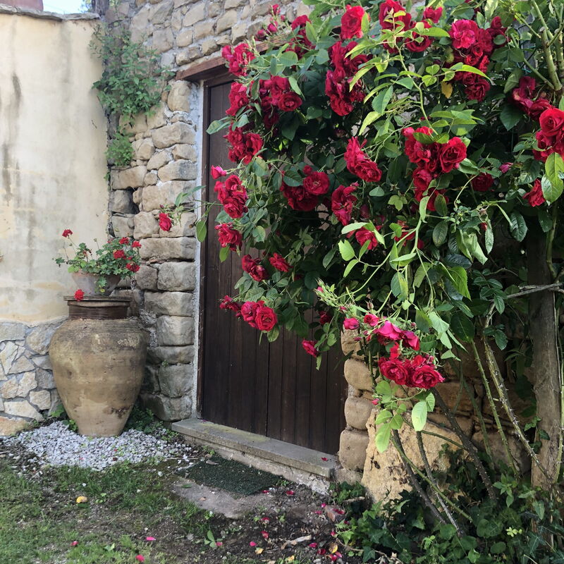 San Noto House With Pool Ac Wifi: Automne, Été, Jardin, Printemps