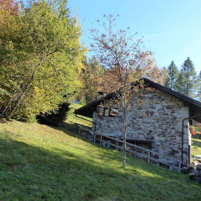 Baita a Pieve Tesino Mountain And Lake: Autumn, Garden, Spring, Summer
