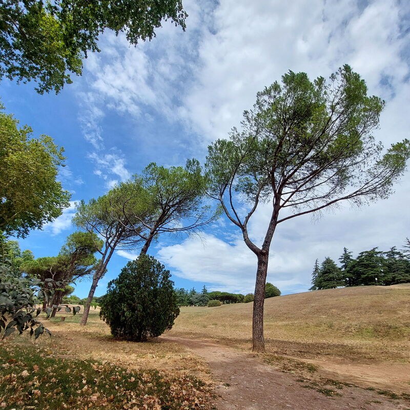 Green Suite On The Roof - Roma: Autumn, Building Exterior, Spring, Summer