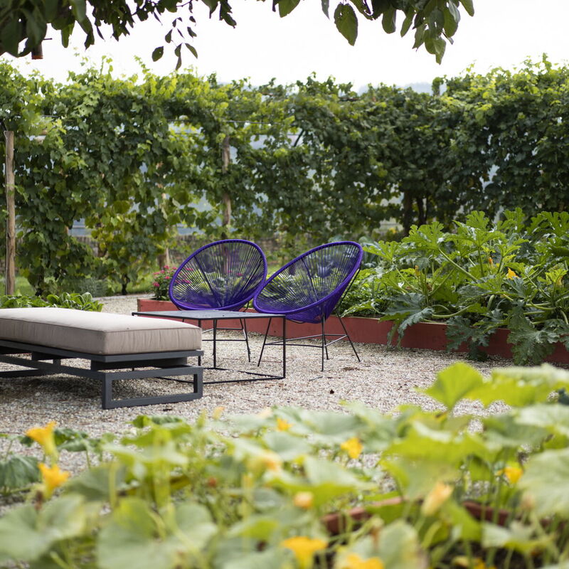 Luxury Langhe, Pool, Bike, Experience Vigne Di Fagnano Eco Relais: Autumn, Garden, Spring, Summer