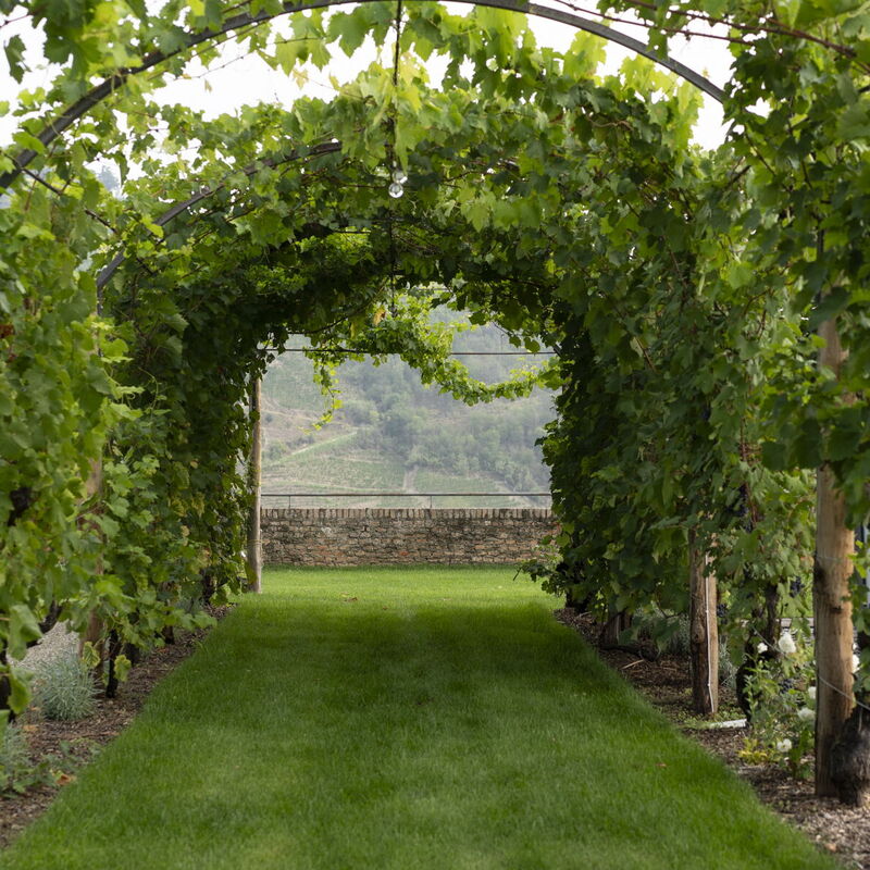 Luxury Langhe, Pool, Bike, Experience Vigne Di Fagnano Eco Relais: Autumn, Garden, Spring, Summer