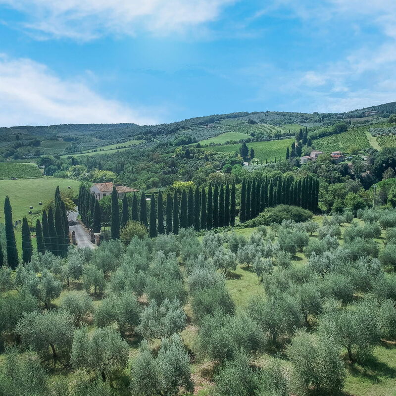 La Tesa Country House With Pool S. Gimignano: Autumn, Scenic View, Spring, Summer