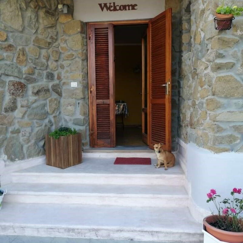 Bellavista Tuscany Apartment Panoramic Terrace: Autumn, Balcony / Terrace / Patio, Spring, Summer