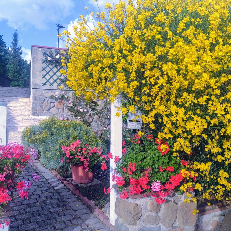 Bellavista Tuscany Apartment Panoramic Terrace: Autumn, Building Exterior, Spring, Summer