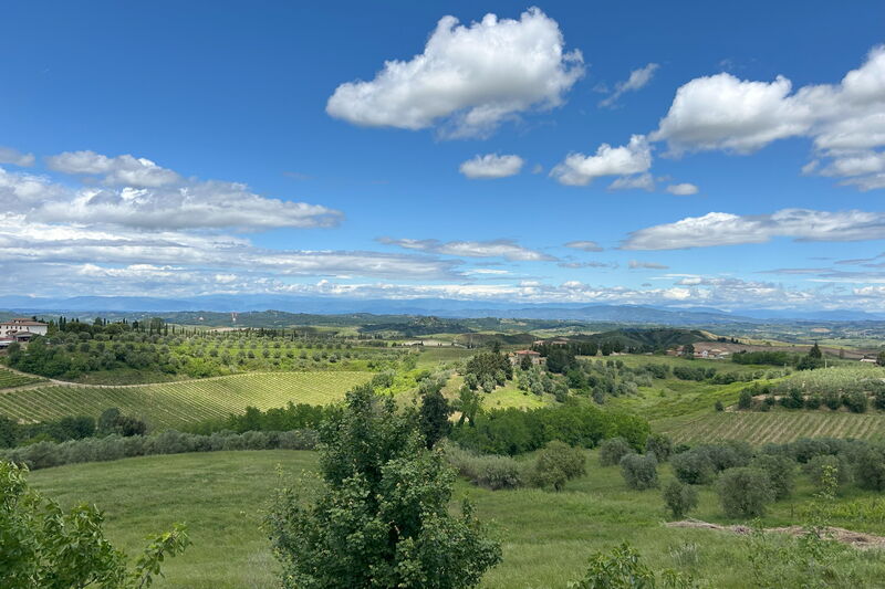 Ciliegino Spereto Apartment, Pool And Relax , Montaione