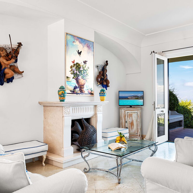 Villa Golfo Di Napoli With Private Pool: Autumn, Living Room, Spring, Summer, Winter