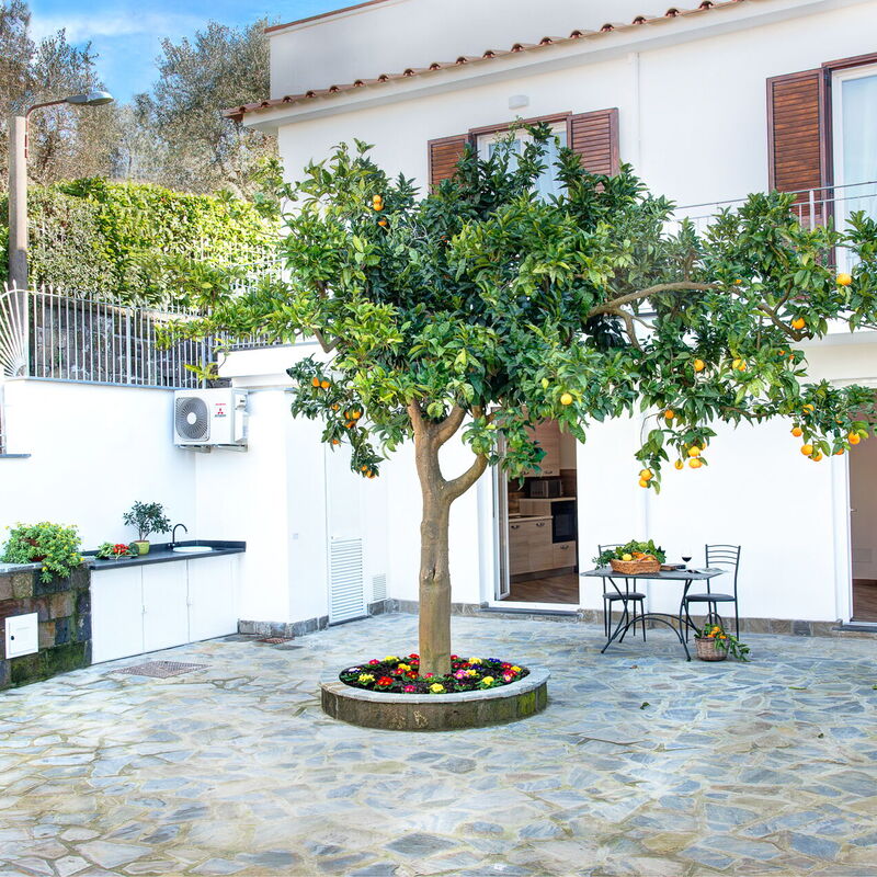 Clementine Country House: Autumn, Building Exterior, Spring, Summer, Winter