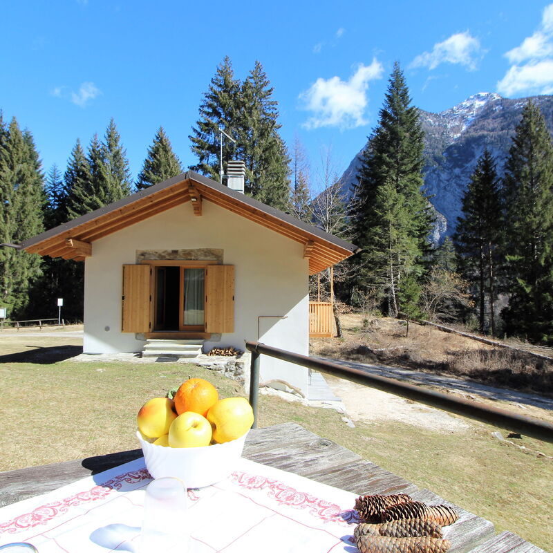 Baita La Ciamorza, Dolomiti, Veneto: Autumn, Garden, Spring, Summer