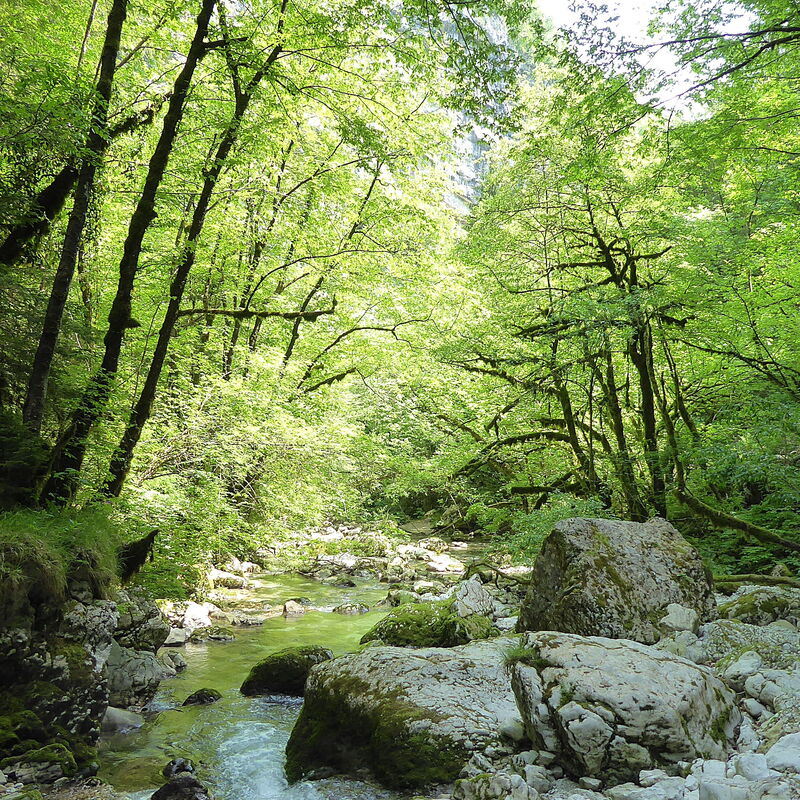 Baita La Ciamorza, Dolomiti, Veneto: Activities, Autumn, Spring, Summer