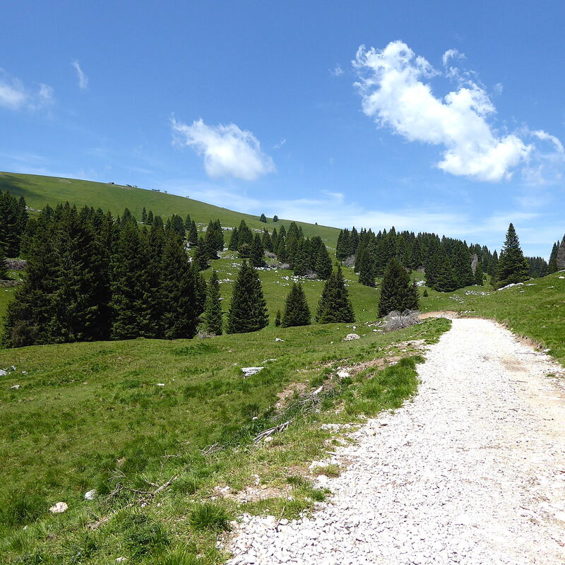 Baita La Ciamorza, Dolomiti, Veneto: Activities, Autumn, Spring, Summer