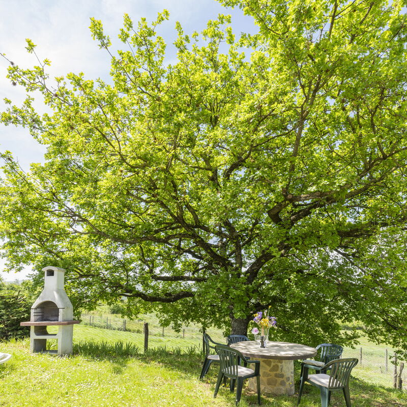 Marcigliana Cottage, Pool, Radicondoli: Autumn, Garden, Spring, Summer
