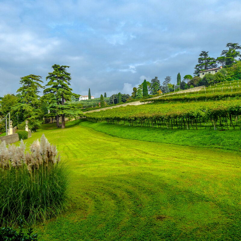 Il Vigneto, Verona, Pool, Wifi: Autumn, Building Exterior, Garden, Scenic View, Spring, Summer, Winter