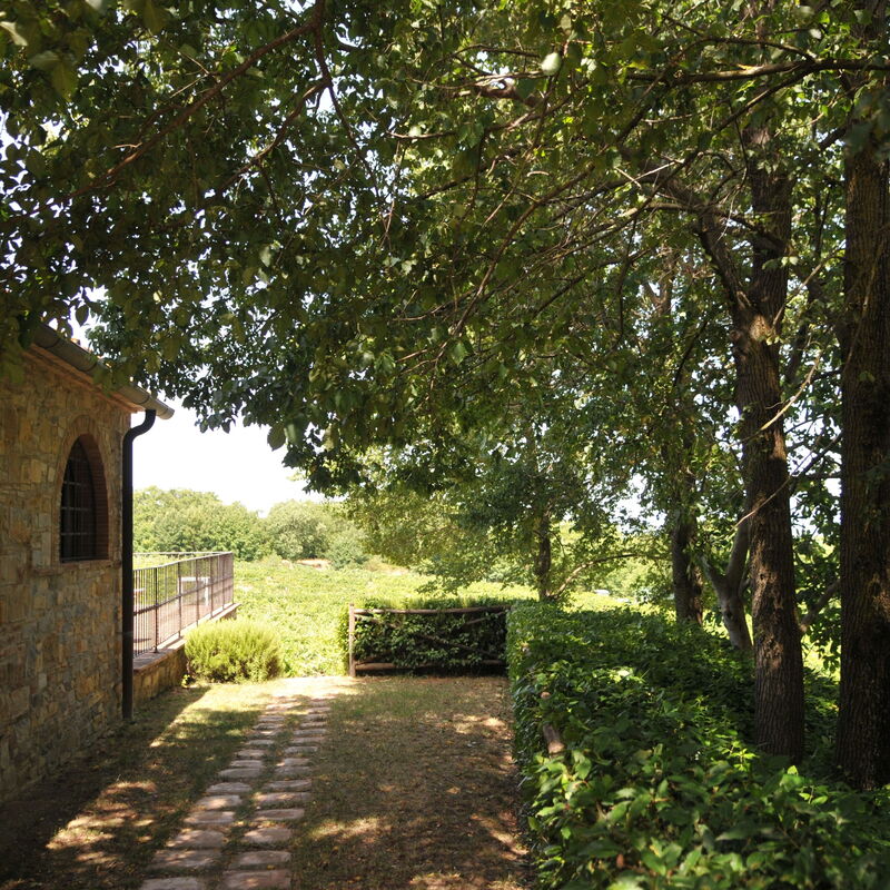 Agriturismo La Papessa