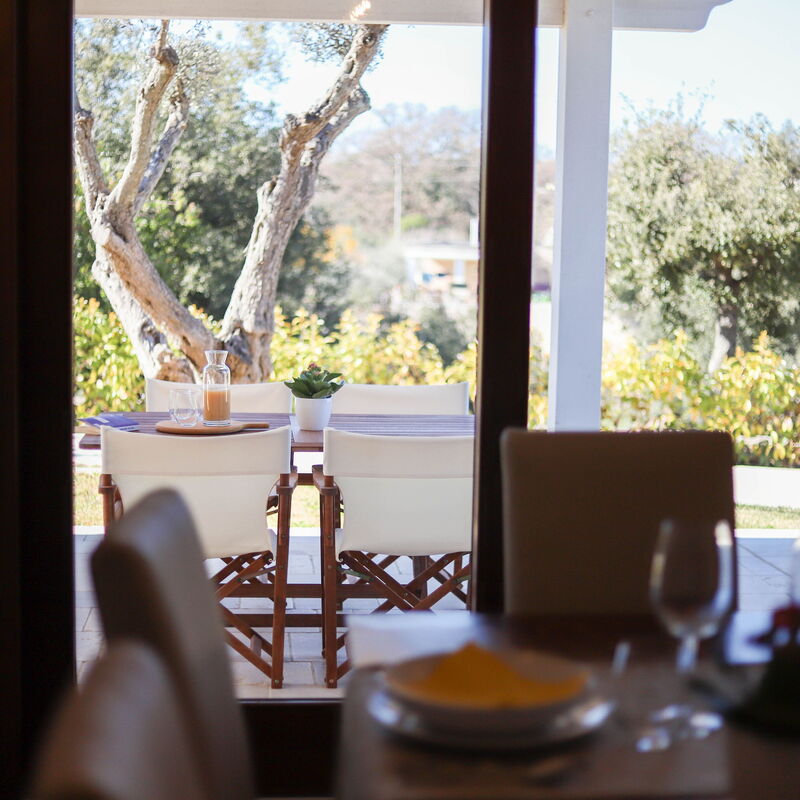 Villa Don Sante In Locorotondo Puglia: Autunno, Estate, Giardino, Primavera