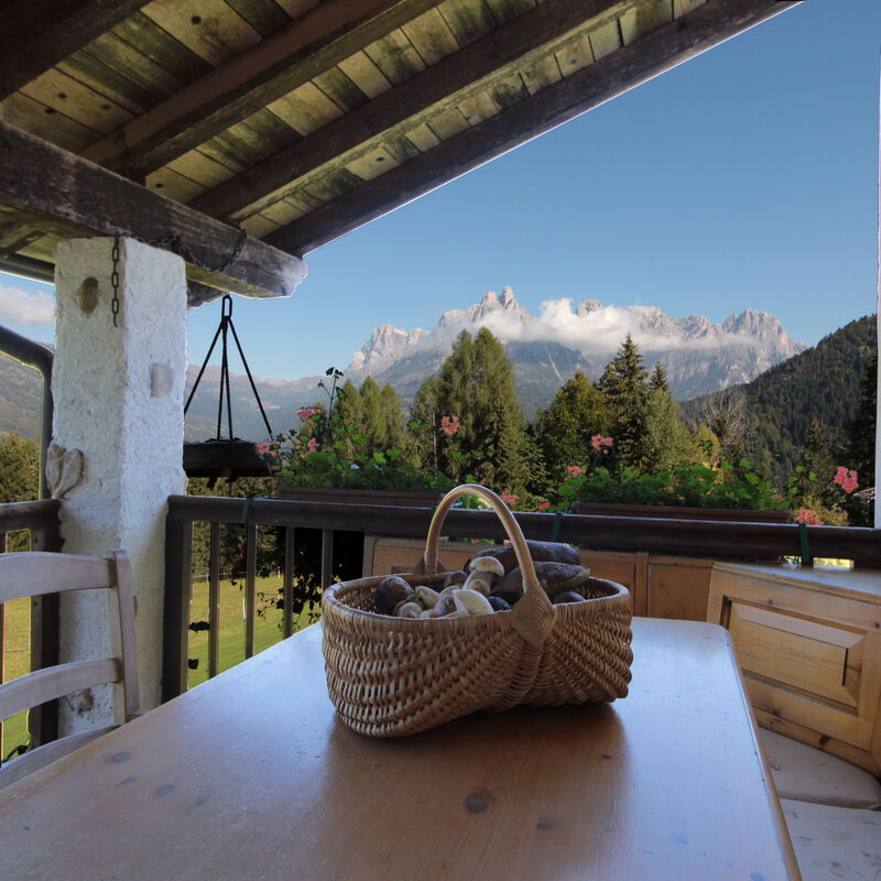Baita Mountain View Pale San Martino: Autunno, Balcone / Terrazza / Patio, Estate, Primavera