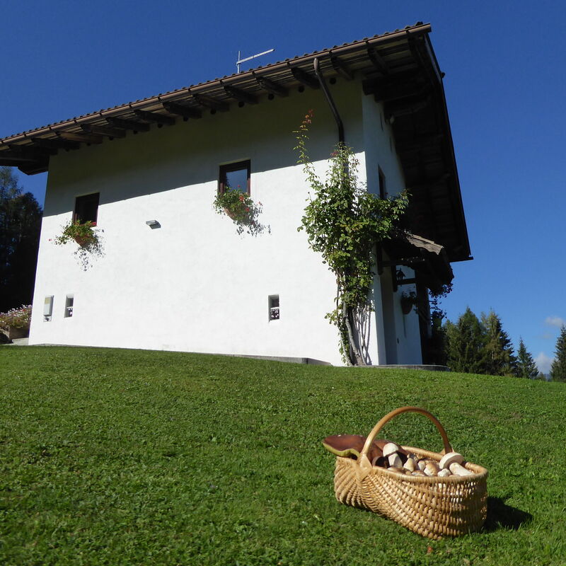 Baita Mountain View Pale San Martino: Autunno, Estate, Giardino, Primavera