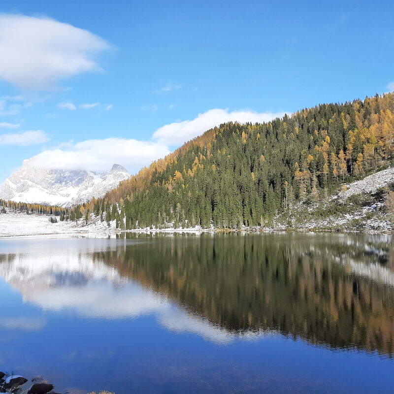 Baita Mountain View Pale San Martino: Activities, Autumn, Spring, Summer