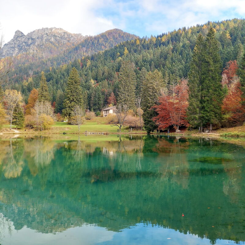 Baita Mountain View Pale San Martino: Activities, Autumn, Spring, Summer