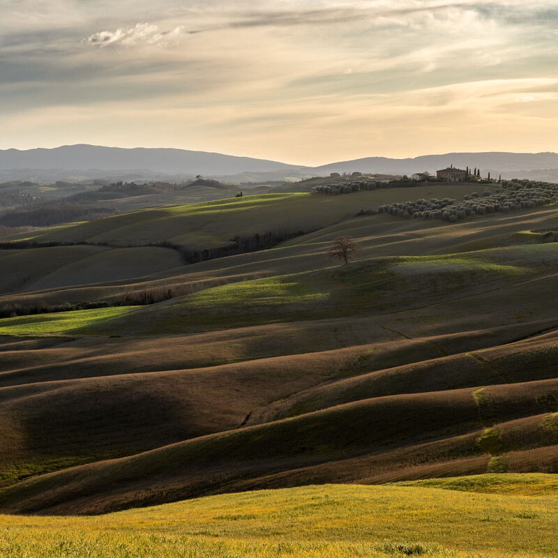 La Palazzina, Ville Di Corsano, Home And Pool: Activities, Autumn, Outdoor, Spring, Summer