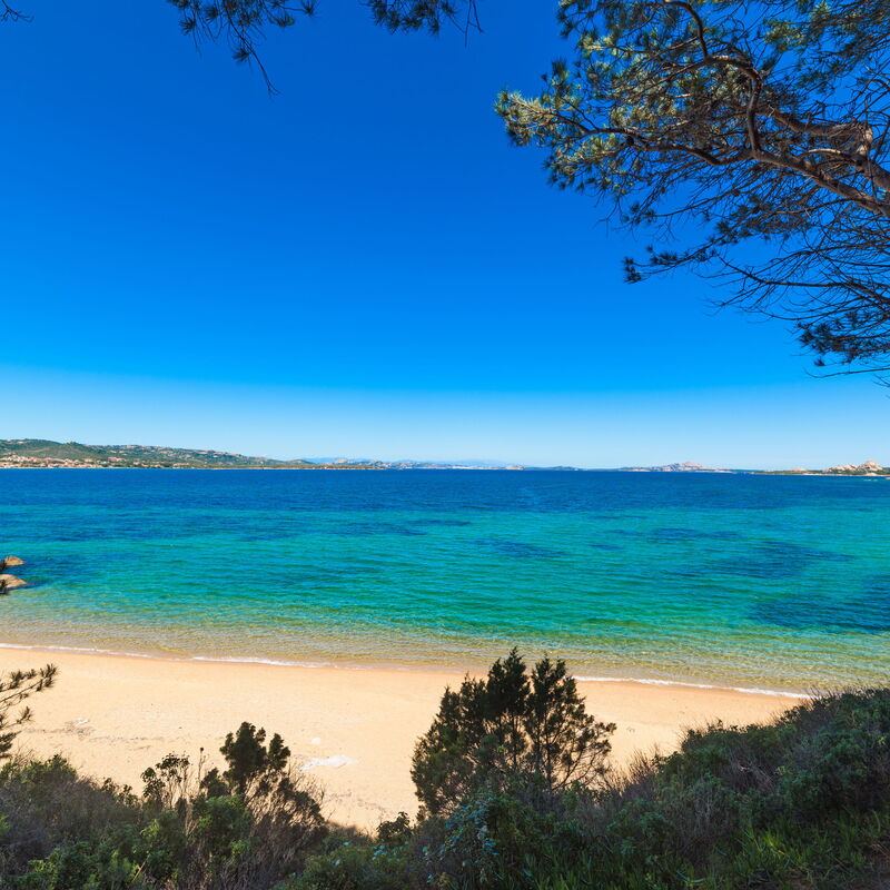 Baia Bianca Apartments Sardinia: Autumn, Building Exterior, Spring, Summer, Winter