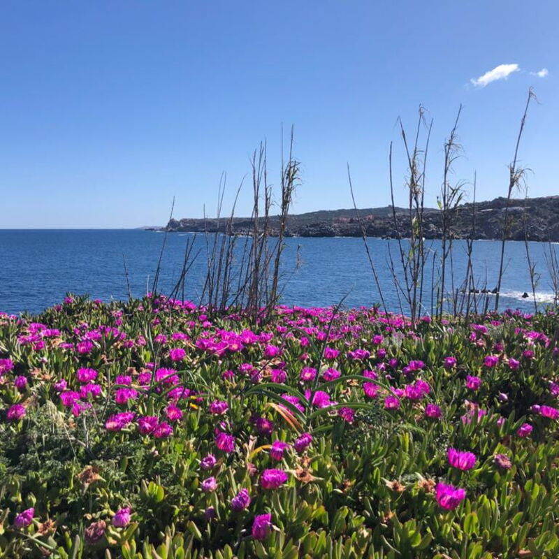 Cristal Blu Apartments In Santa Teresa Gallura: Autumn, Building Exterior, Spring, Summer, Winter