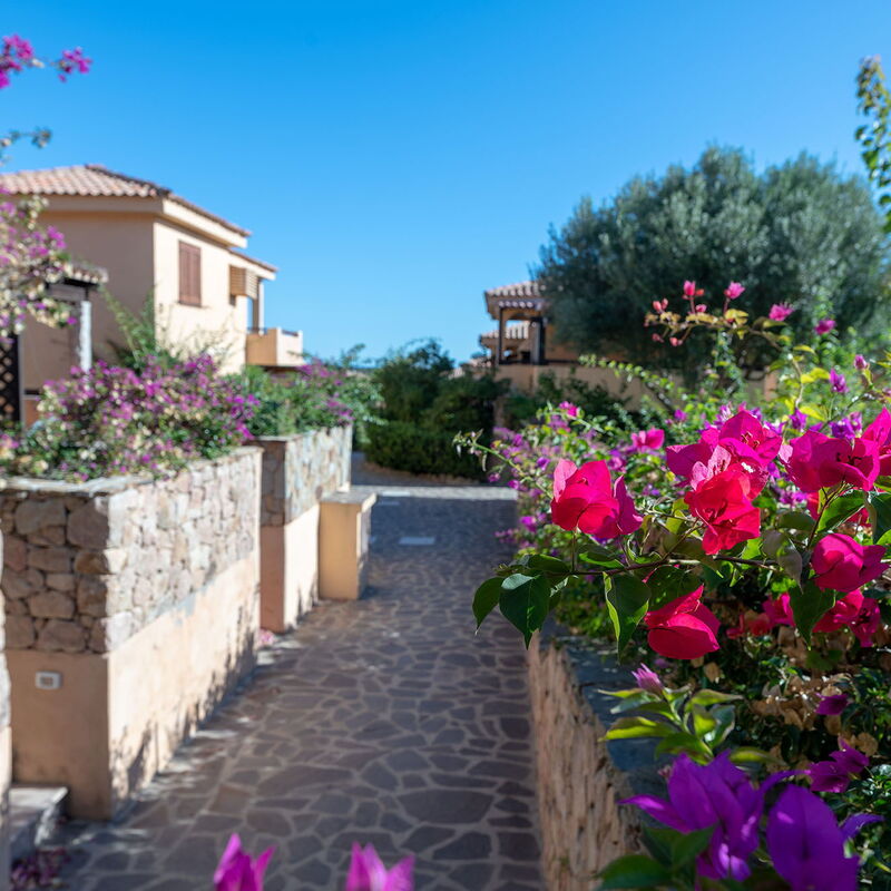 Golfo Aranci Apartments With Ac: Autumn, Garden, Spring, Summer