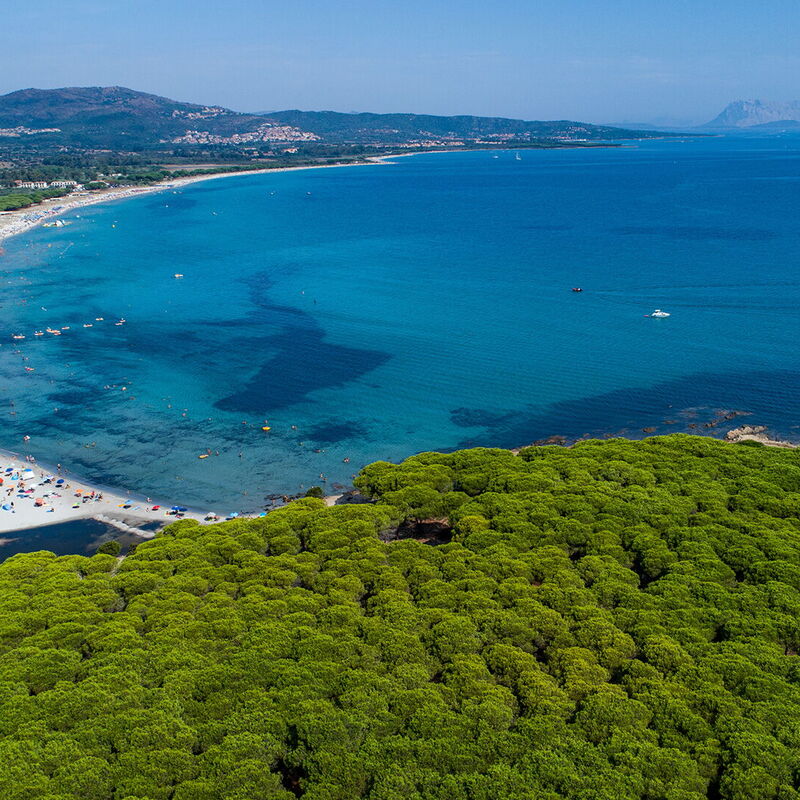 Budoni Homes Seaside, Ac And Bike: Autumn, Scenic View, Spring, Summer, Winter