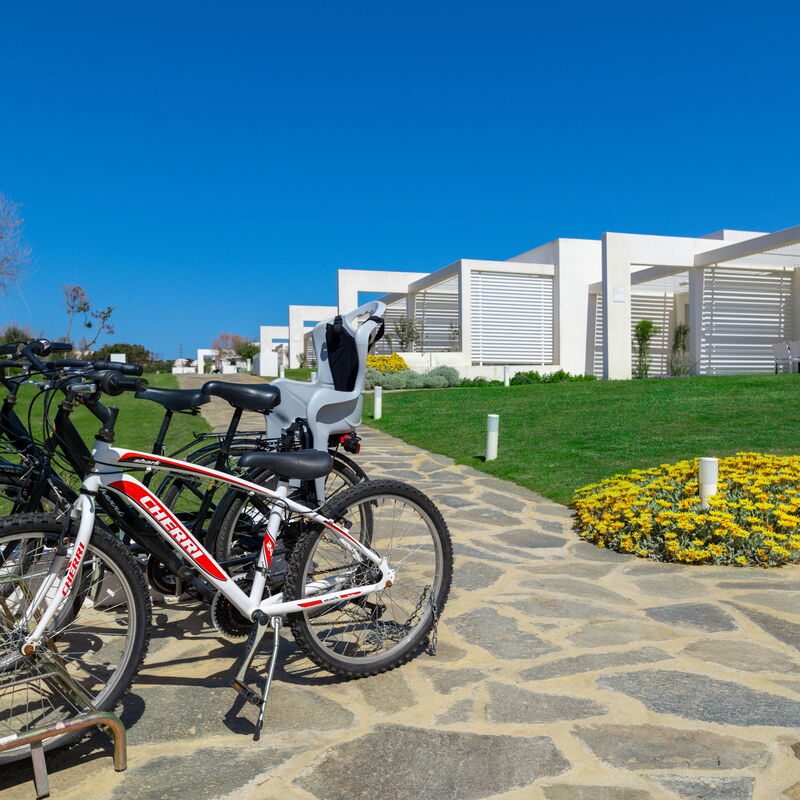 Charming Apartment Ac In Stintino: Activities, Autumn, Spring, Summer, Winter