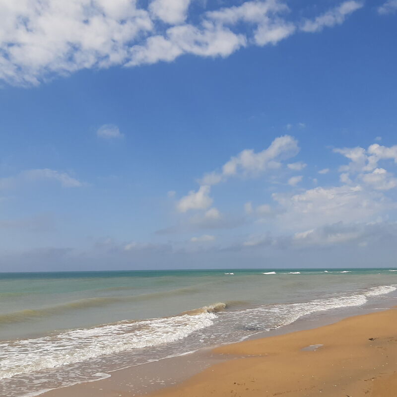 Villetta Elena, Ac, Wifi, Lido Degli Scacchi: Activities, Autumn, Outdoor, Spring, Summer