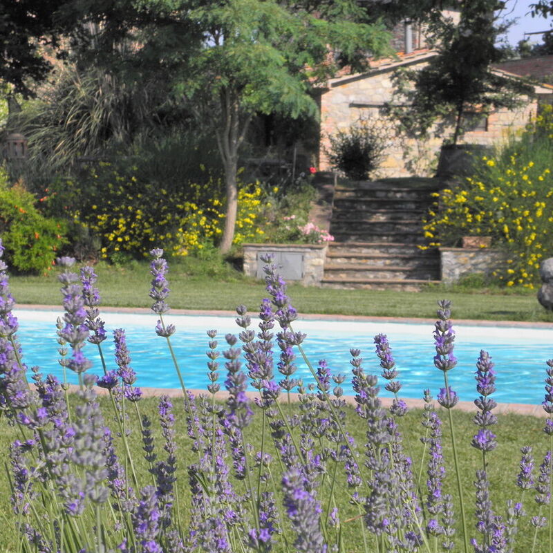 Borgo Santa Maria, Private Pool, Perugia: Autumn, Pool, Spring, Summer