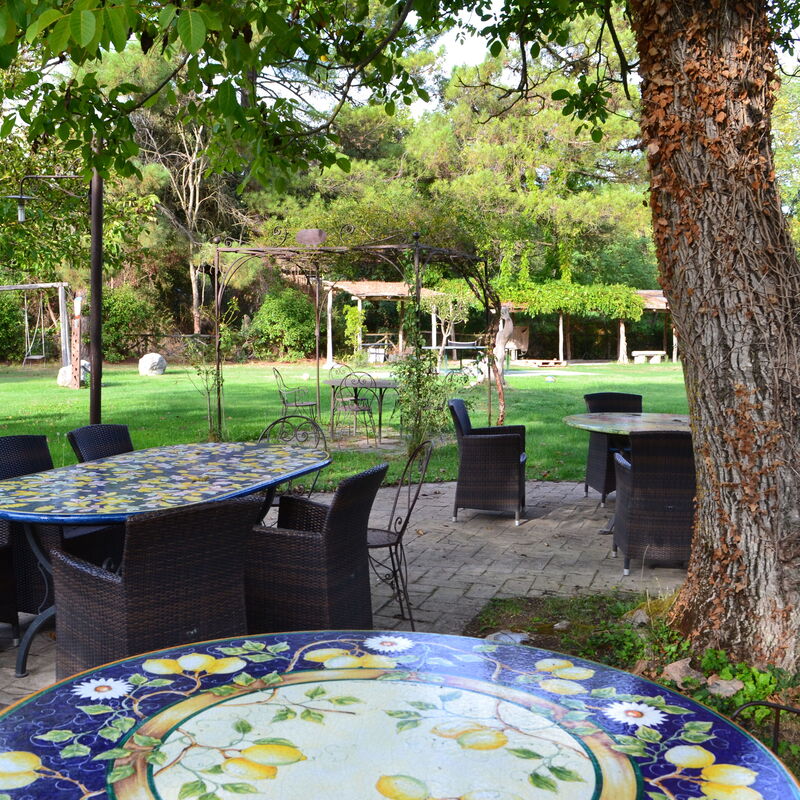 Appartamento La Vecchia Cedraia, Wifi, Perugia: Autumn, Garden, Spring, Summer