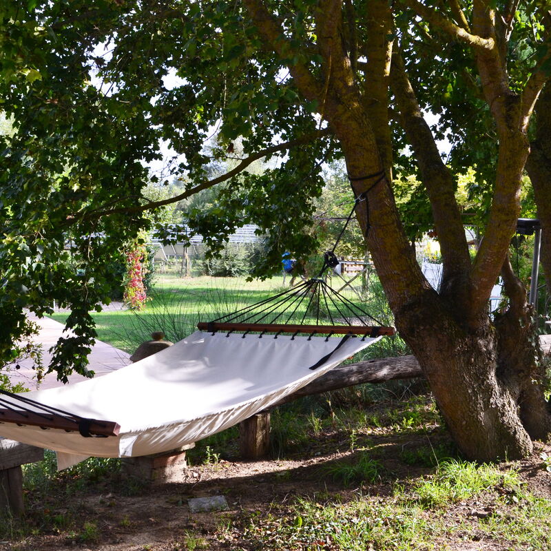 Appartamento Vele, Wifi, Near Perugia: Activities, Autumn, Garden, Outdoor, Spring, Summer, Winter