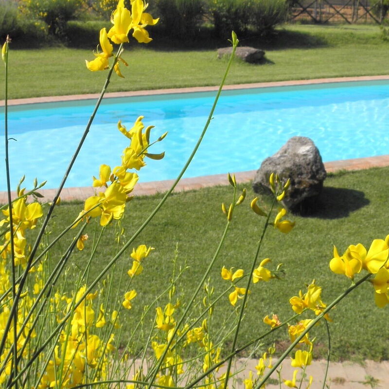 Appartamento Pietra Viva, Wifi, Near Perugia: Autumn, Pool, Spring, Summer, Winter
