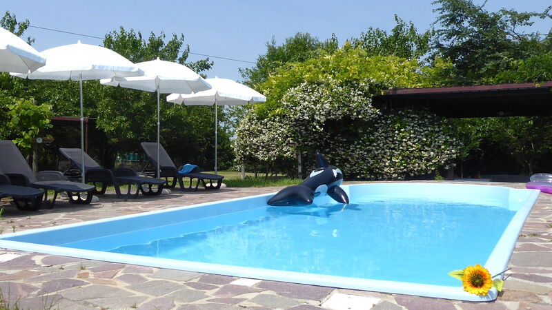 Silea Apartments, Pool, Garden, Treviso: bazen, Jesen, Ljeto, Proljeće