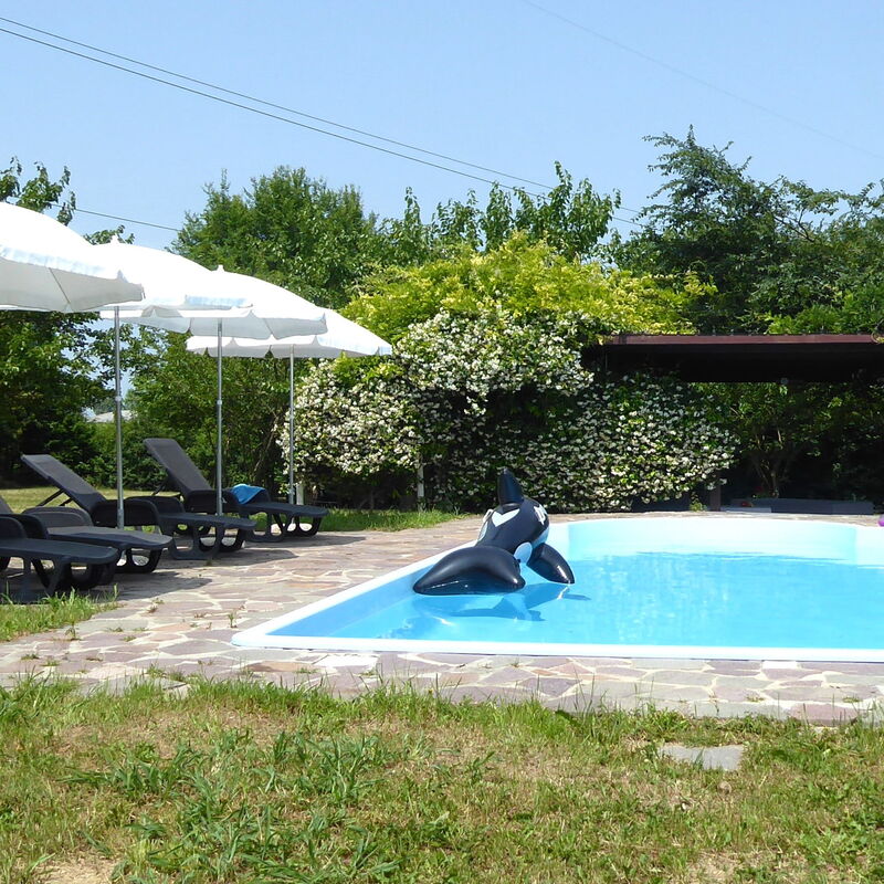 Silea Apartments, Pool, Garden, Treviso: Autumn, Pool, Spring, Summer